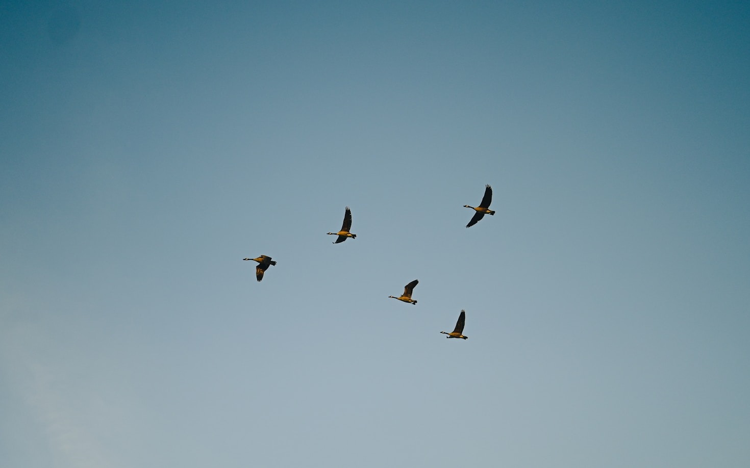 How Structured Journaling Can Transform Your Life